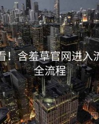 冲浪必看！含羞草官网进入流程复盘全流程