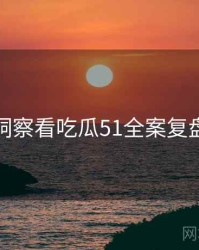 从数据洞察看吃瓜51全案复盘全流程