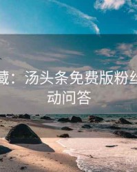 粉丝必藏：汤头条免费版粉丝狂欢互动问答