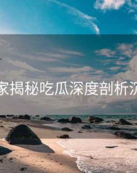 老玩家揭秘吃瓜深度剖析沉浸版