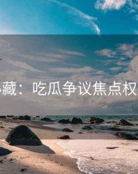 粉丝必藏：吃瓜争议焦点权威解读