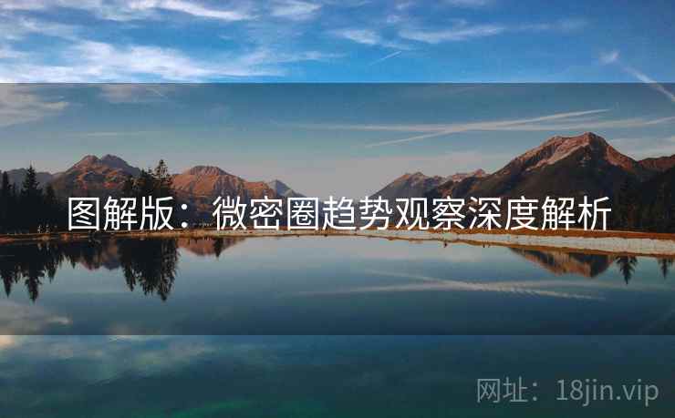 图解版：微密圈趋势观察深度解析