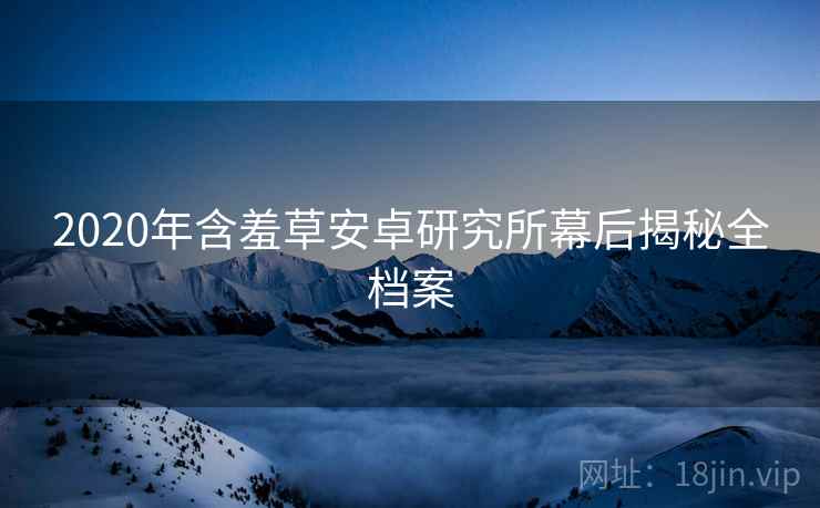 2020年含羞草安卓研究所幕后揭秘全档案