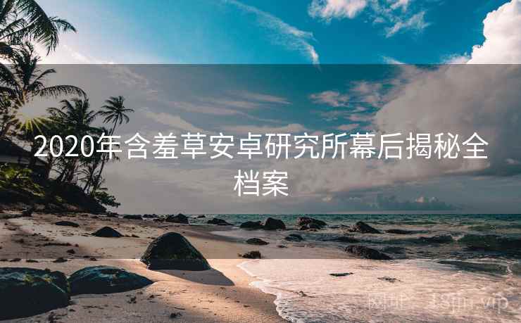 2020年含羞草安卓研究所幕后揭秘全档案