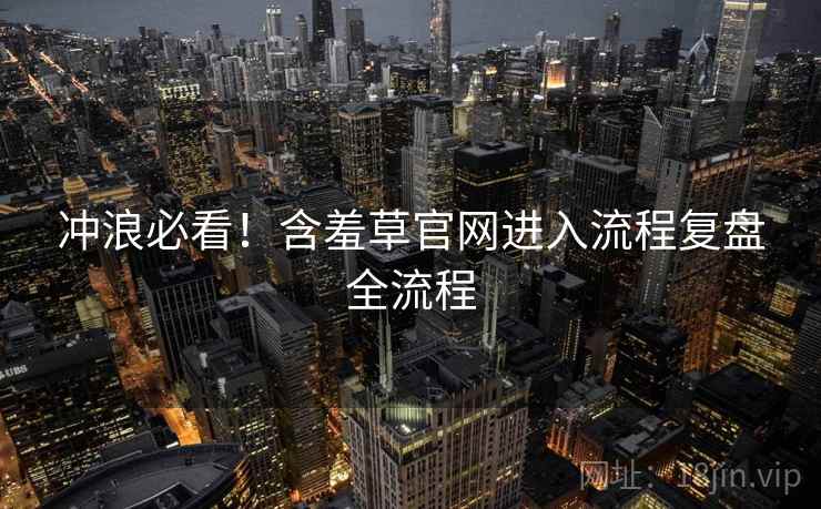 冲浪必看！含羞草官网进入流程复盘全流程
