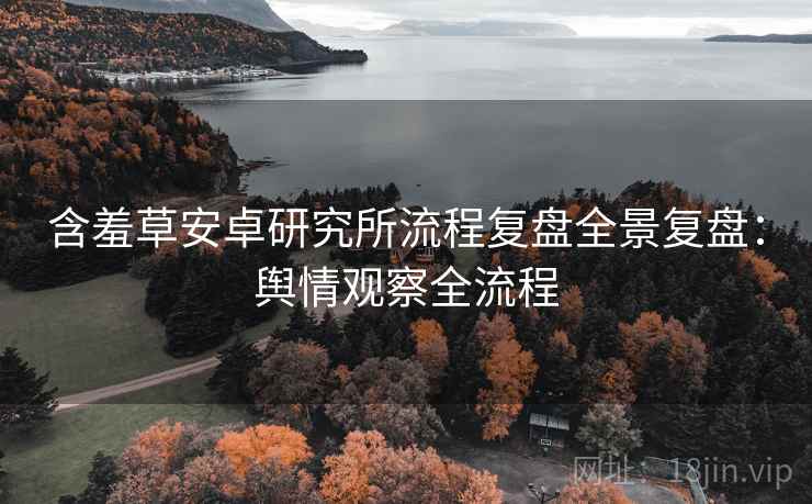 含羞草安卓研究所流程复盘全景复盘：舆情观察全流程