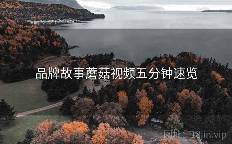 品牌故事蘑菇视频五分钟速览